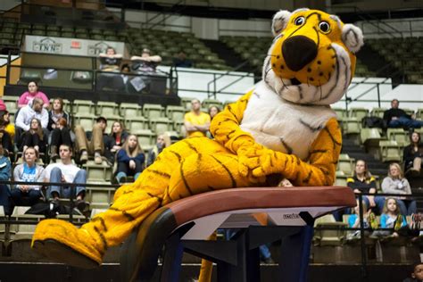 Tiger Mascot Heads: Unifying Communities and Building School Spirit
